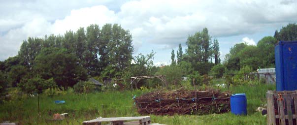 Our dead hedge takes shape